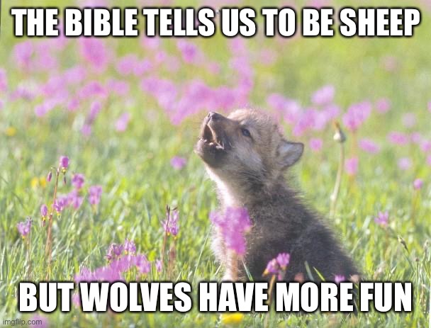 Not meant to be blasphemous, just my broken humor | THE BIBLE TELLS US TO BE SHEEP; BUT WOLVES HAVE MORE FUN | image tagged in memes,baby insanity wolf | made w/ Imgflip meme maker