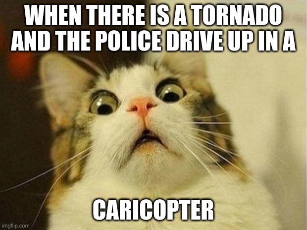 Scared Cat | WHEN THERE IS A TORNADO AND THE POLICE DRIVE UP IN A; CARICOPTER | image tagged in memes,scared cat | made w/ Imgflip meme maker