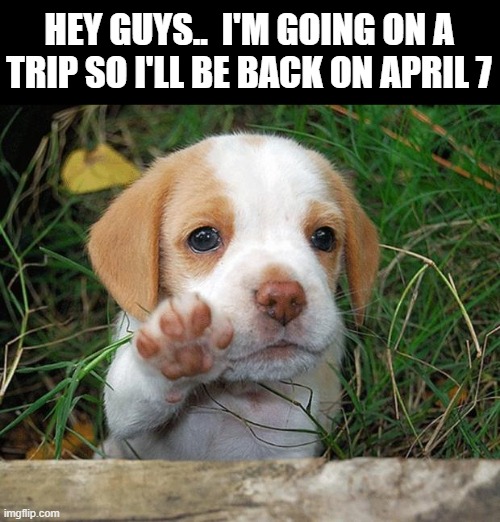 Bye :( | HEY GUYS..  I'M GOING ON A TRIP SO I'LL BE BACK ON APRIL 7 | image tagged in dog puppy bye,goodbye,announcement | made w/ Imgflip meme maker