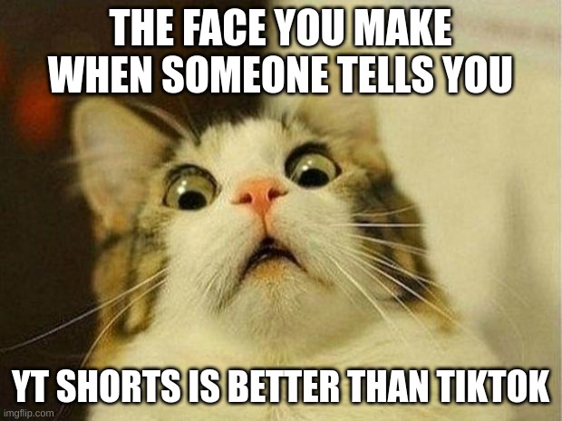 Too tru | THE FACE YOU MAKE WHEN SOMEONE TELLS YOU; YT SHORTS IS BETTER THAN TIKTOK | image tagged in memes,scared cat | made w/ Imgflip meme maker