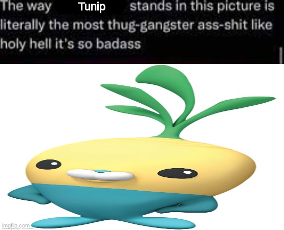 Tunip | made w/ Imgflip meme maker
