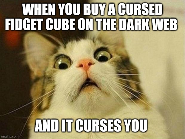 Cursed fidget | WHEN YOU BUY A CURSED FIDGET CUBE ON THE DARK WEB; AND IT CURSES YOU | image tagged in memes,scared cat | made w/ Imgflip meme maker