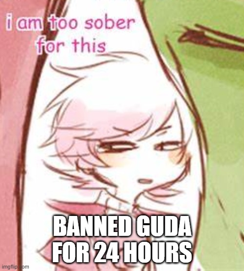 he doesn't learn to shut up so I helped him(soda: W) | BANNED GUDA FOR 24 HOURS | image tagged in i am too sober for this | made w/ Imgflip meme maker