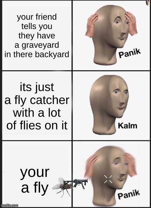 fly | your friend tells you they have a graveyard in there backyard; its just a fly catcher with a lot of flies on it; your a fly | image tagged in memes,panik kalm panik | made w/ Imgflip meme maker