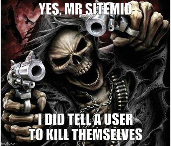 Freedom of speech | YES, MR SITEMID; I DID TELL A USER TO KILL THEMSELVES | image tagged in badass skeleton | made w/ Imgflip meme maker