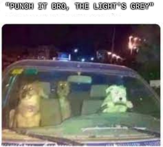 doge car | "PUNCH IT BRO, THE LIGHT'S GREY" | image tagged in oh wow are you actually reading these tags | made w/ Imgflip meme maker