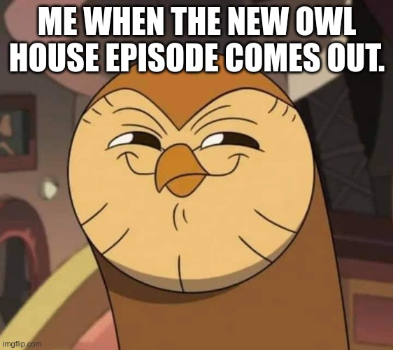 Hooty like | ME WHEN THE NEW OWL HOUSE EPISODE COMES OUT. | image tagged in hooty like | made w/ Imgflip meme maker