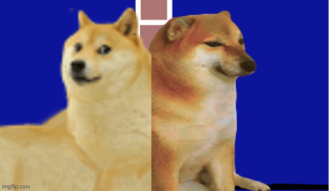 2 sides | image tagged in buff doge vs cheems,wall | made w/ Imgflip meme maker