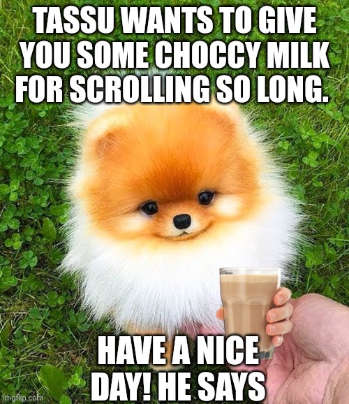 happy | TASSU WANTS TO GIVE YOU SOME CHOCCY MILK FOR SCROLLING SO LONG. HAVE A NICE DAY! HE SAYS | image tagged in cute,happy | made w/ Imgflip meme maker