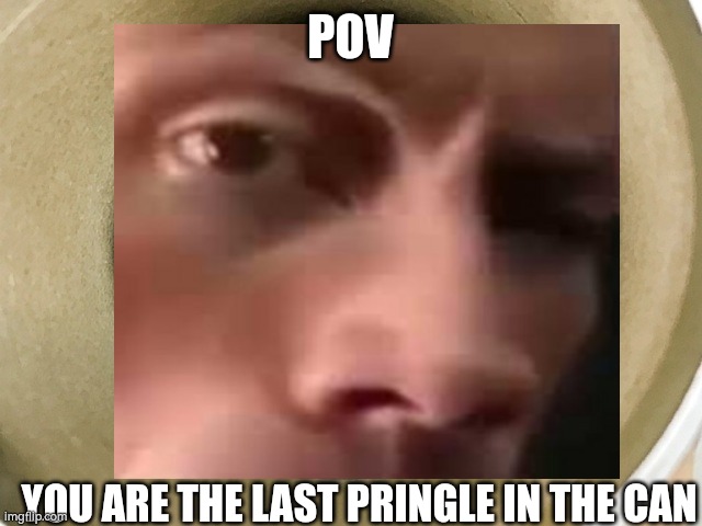 I honestly never tried pringles | POV; YOU ARE THE LAST PRINGLE IN THE CAN | image tagged in the rock | made w/ Imgflip meme maker
