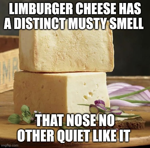 Limburger pun | LIMBURGER CHEESE HAS A DISTINCT MUSTY SMELL; THAT NOSE NO OTHER QUIET LIKE IT | image tagged in puns,cheese,jokes,jpfan102504 | made w/ Imgflip meme maker