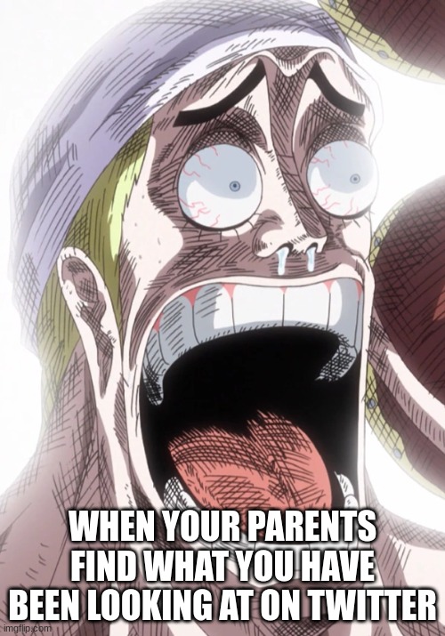 enel reacts to something | WHEN YOUR PARENTS FIND WHAT YOU HAVE BEEN LOOKING AT ON TWITTER | image tagged in memes | made w/ Imgflip meme maker