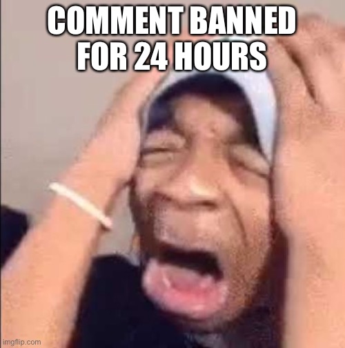 I have never been comment banned this long | COMMENT BANNED FOR 24 HOURS | image tagged in flightreacts crying | made w/ Imgflip meme maker