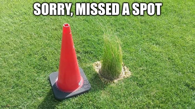 don't worry, It's only one spot | SORRY, MISSED A SPOT | image tagged in you had one job,memes | made w/ Imgflip meme maker