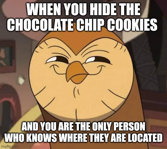 Chocolate chip cookies are now hidden | WHEN YOU HIDE THE CHOCOLATE CHIP COOKIES; AND YOU ARE THE ONLY PERSON WHO KNOWS WHERE THEY ARE LOCATED | image tagged in hooty like | made w/ Imgflip meme maker