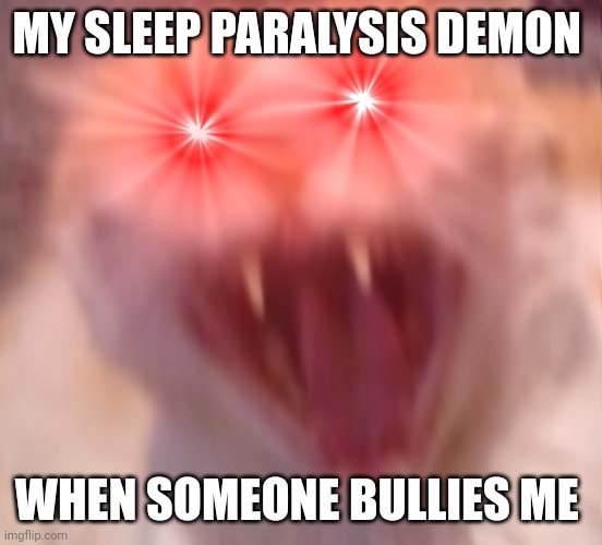 My sleep paralysis demon Really hates when someone bullies me | MY SLEEP PARALYSIS DEMON; WHEN SOMEONE BULLIES ME | image tagged in angry cat | made w/ Imgflip meme maker