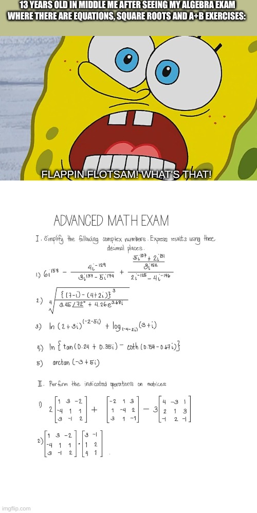 Algebra exams students be like: | 13 YEARS OLD IN MIDDLE ME AFTER SEEING MY ALGEBRA EXAM WHERE THERE ARE EQUATIONS, SQUARE ROOTS AND A+B EXERCISES:; FLAPPIN FLOTSAM! WHAT'S THAT! | image tagged in math,memes,funny,spongebob,algebra | made w/ Imgflip meme maker