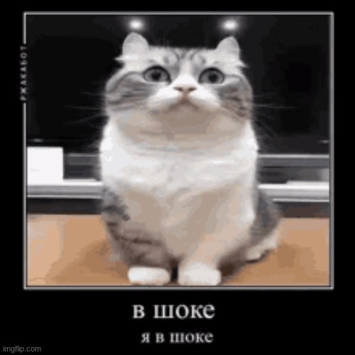 just realized i am 24 hours comment banned now | made w/ Imgflip meme maker