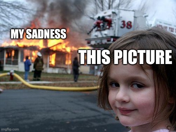 Disaster Girl Meme | THIS PICTURE MY SADNESS | image tagged in memes,disaster girl | made w/ Imgflip meme maker
