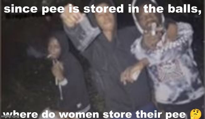 big mystery | since pee is stored in the balls, where do women store their pee 🤔 | made w/ Imgflip meme maker