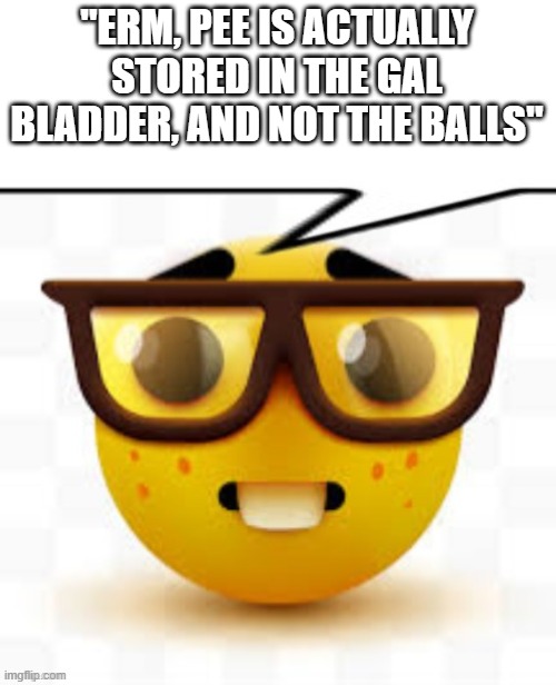 says the nerd | "ERM, PEE IS ACTUALLY STORED IN THE GAL BLADDER, AND NOT THE BALLS" | image tagged in says the nerd | made w/ Imgflip meme maker