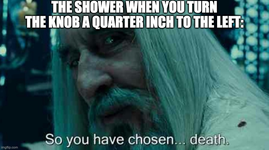 Showers be like: |  THE SHOWER WHEN YOU TURN THE KNOB A QUARTER INCH TO THE LEFT: | image tagged in so you have chosen death,shower,funny memes,fun,relateable,relatable memes | made w/ Imgflip meme maker