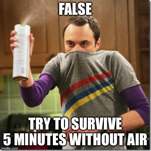 air freshener sheldon cooper | FALSE TRY TO SURVIVE 5 MINUTES WITHOUT AIR | image tagged in air freshener sheldon cooper | made w/ Imgflip meme maker