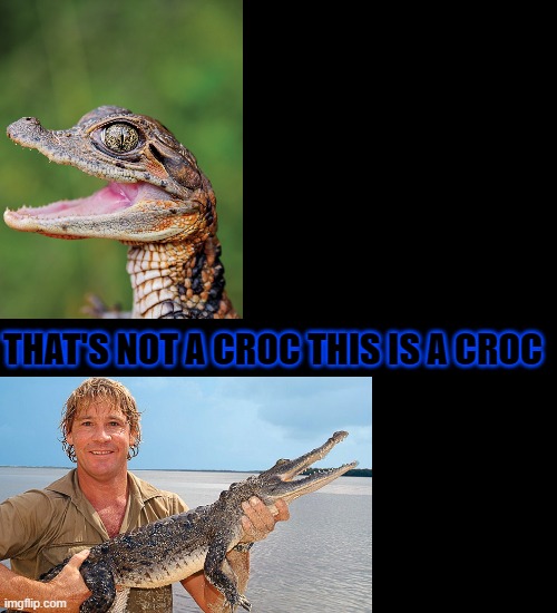 croc meme | THAT'S NOT A CROC THIS IS A CROC | image tagged in funny | made w/ Imgflip meme maker