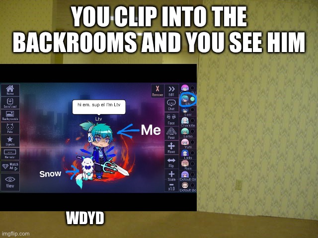 Idk random role play | YOU CLIP INTO THE BACKROOMS AND YOU SEE HIM; WDYD | image tagged in roleplaying,idk | made w/ Imgflip meme maker