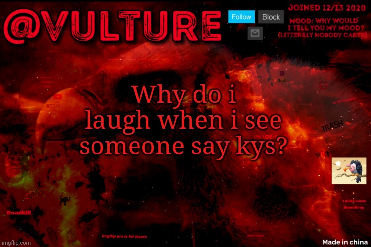 Vultures template that he uses when he wants to say something | Why do i laugh when i see someone say kys? | image tagged in vultures template that he uses when he wants to say something | made w/ Imgflip meme maker