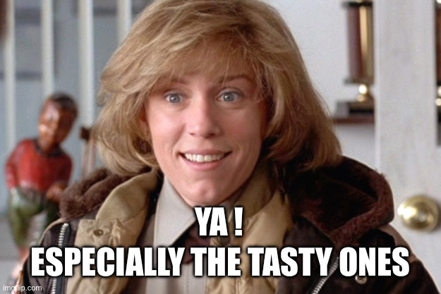 Fargo oh sure | YA ! ESPECIALLY THE TASTY ONES | image tagged in fargo oh sure | made w/ Imgflip meme maker