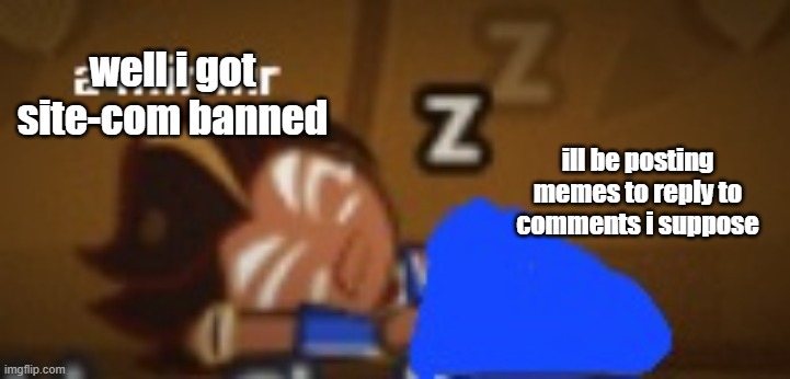 a mirmir choco ball | well i got site-com banned; ill be posting memes to reply to comments i suppose | image tagged in a mirmir choco ball | made w/ Imgflip meme maker