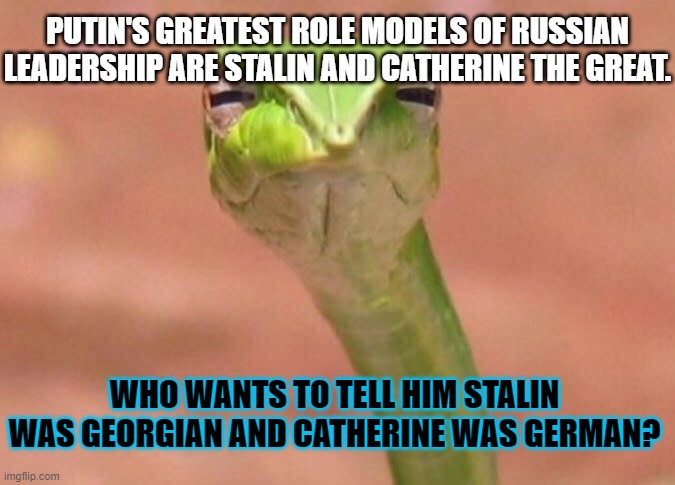Skeptical snake | PUTIN'S GREATEST ROLE MODELS OF RUSSIAN LEADERSHIP ARE STALIN AND CATHERINE THE GREAT. WHO WANTS TO TELL HIM STALIN WAS GEORGIAN AND CATHERINE WAS GERMAN? | image tagged in skeptical snake | made w/ Imgflip meme maker