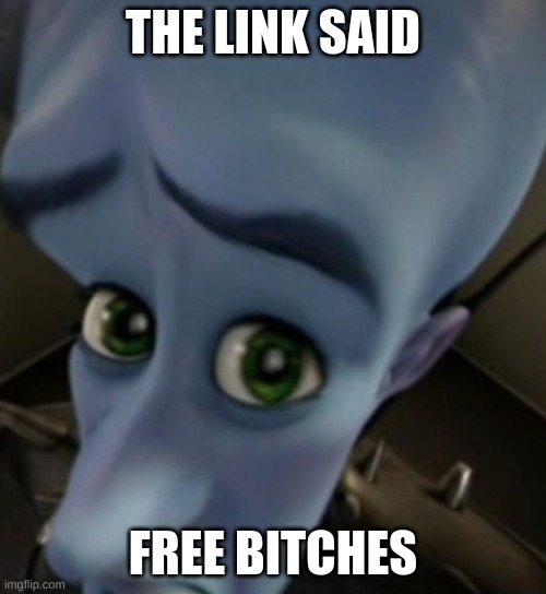 Megamind no bitches | THE LINK SAID; FREE BITCHES | image tagged in megamind no bitches | made w/ Imgflip meme maker