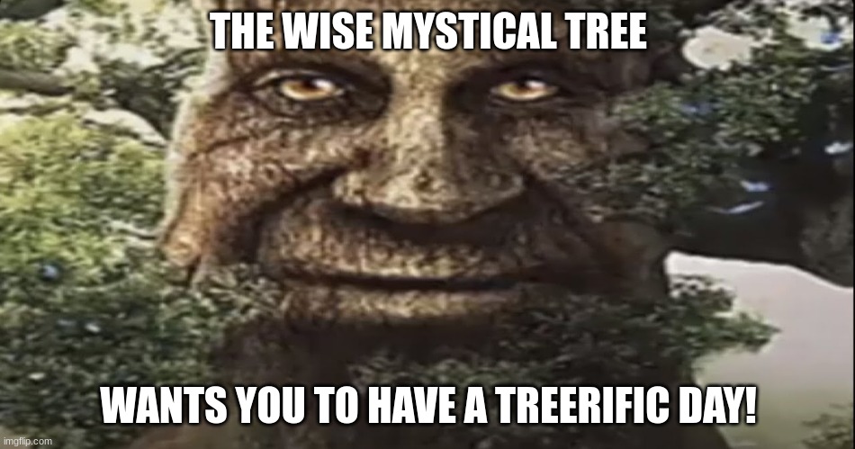 I tried my best to make a tree pun.... | THE WISE MYSTICAL TREE; WANTS YOU TO HAVE A TREERIFIC DAY! | image tagged in wise mystical tree | made w/ Imgflip meme maker