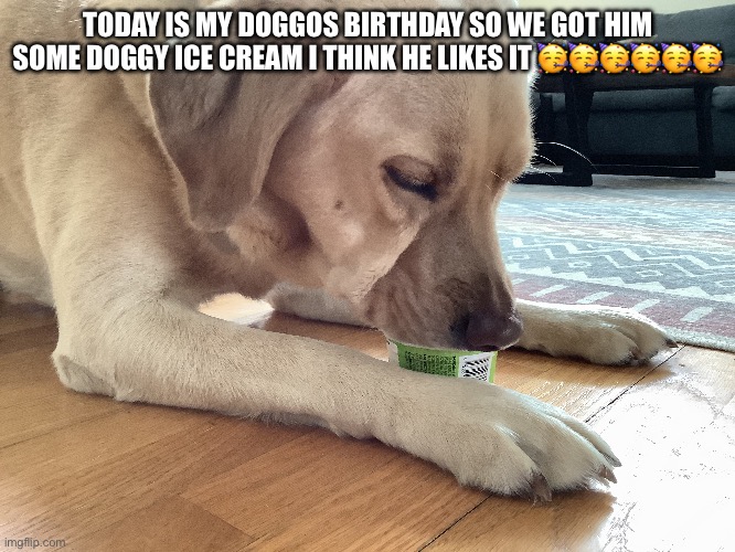 Happy birthday to my dog ?? | TODAY IS MY DOGGOS BIRTHDAY SO WE GOT HIM SOME DOGGY ICE CREAM I THINK HE LIKES IT 🥳🥳🥳🥳🥳🥳 | image tagged in happy birthday | made w/ Imgflip meme maker