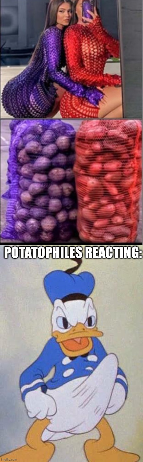 Potatophiles | POTATOPHILES REACTING: | image tagged in horny donald duck,potato | made w/ Imgflip meme maker
