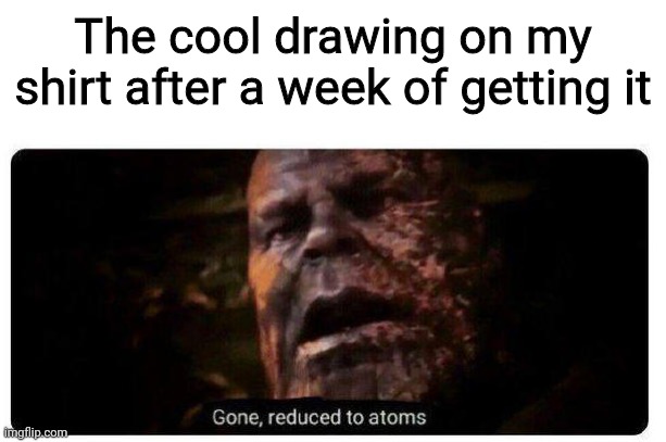 True. | The cool drawing on my shirt after a week of getting it | image tagged in true,lol,memes | made w/ Imgflip meme maker