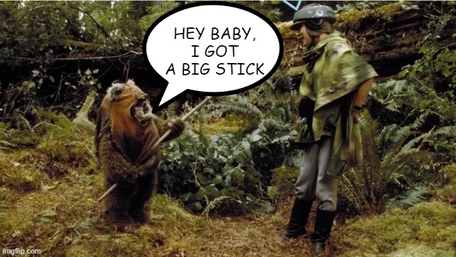 Ewok Stick | HEY BABY, I GOT A BIG STICK | image tagged in ewok | made w/ Imgflip meme maker