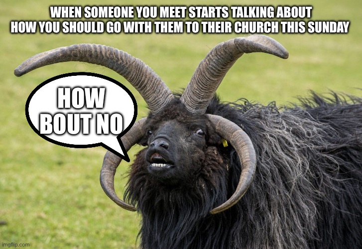 I’d rather not | WHEN SOMEONE YOU MEET STARTS TALKING ABOUT HOW YOU SHOULD GO WITH THEM TO THEIR CHURCH THIS SUNDAY; HOW BOUT NO | image tagged in goat,church,no i don't think i will | made w/ Imgflip meme maker