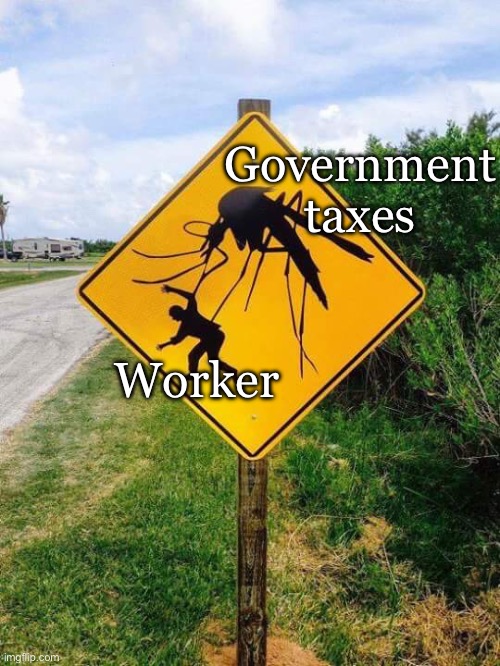 Taxes be like | Government taxes; Worker | image tagged in mosquito,government,taxes,worker | made w/ Imgflip meme maker