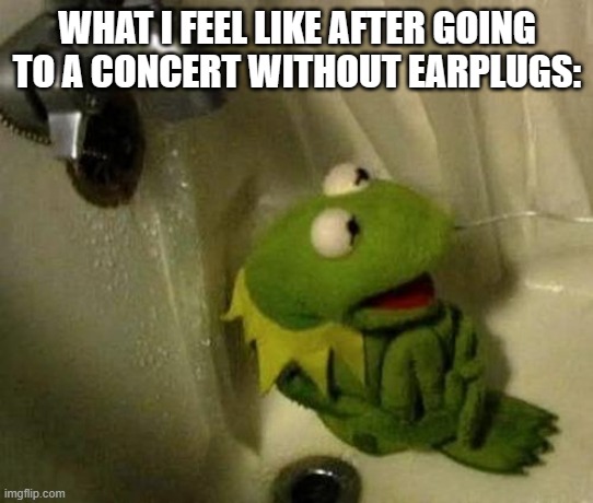 I thought I was literally gonna die X_X | WHAT I FEEL LIKE AFTER GOING TO A CONCERT WITHOUT EARPLUGS: | image tagged in kermit on shower | made w/ Imgflip meme maker