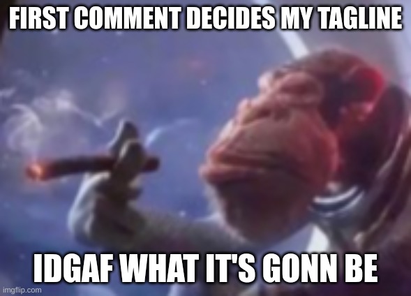 FIRST COMMENT DECIDES MY TAGLINE; IDGAF WHAT IT'S GONN BE | made w/ Imgflip meme maker