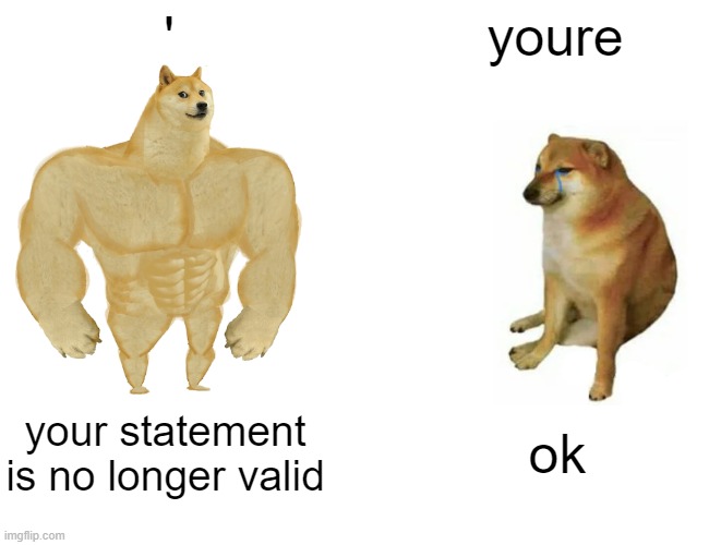 Buff Doge vs. Cheems | '; youre; your statement is no longer valid; ok | image tagged in memes,buff doge vs cheems | made w/ Imgflip meme maker