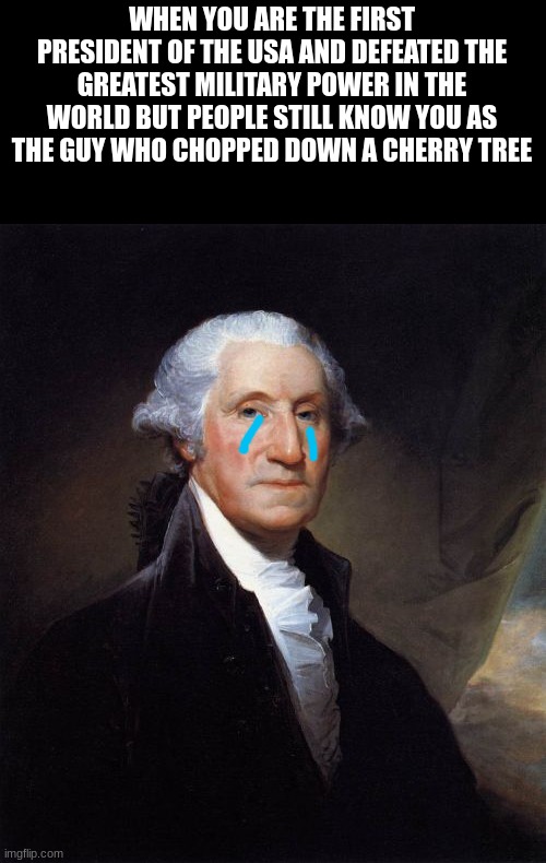 this meme was provided by ChatGPT | WHEN YOU ARE THE FIRST PRESIDENT OF THE USA AND DEFEATED THE GREATEST MILITARY POWER IN THE WORLD BUT PEOPLE STILL KNOW YOU AS THE GUY WHO CHOPPED DOWN A CHERRY TREE | image tagged in memes,george washington | made w/ Imgflip meme maker