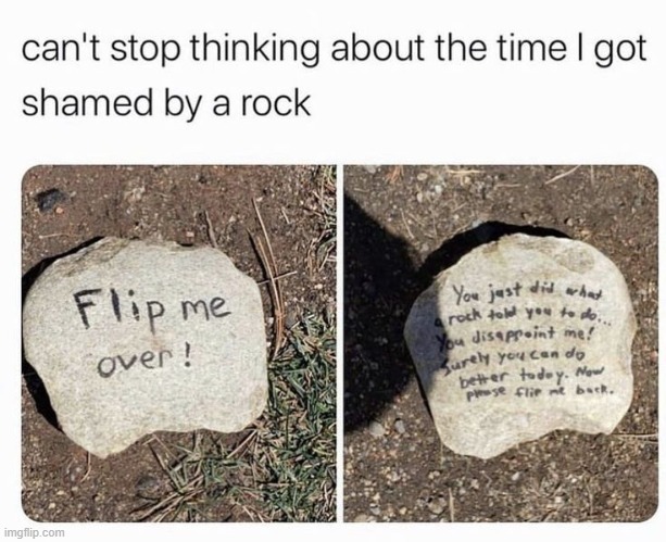 Bro got shamed by a rock XDD | image tagged in rock | made w/ Imgflip meme maker