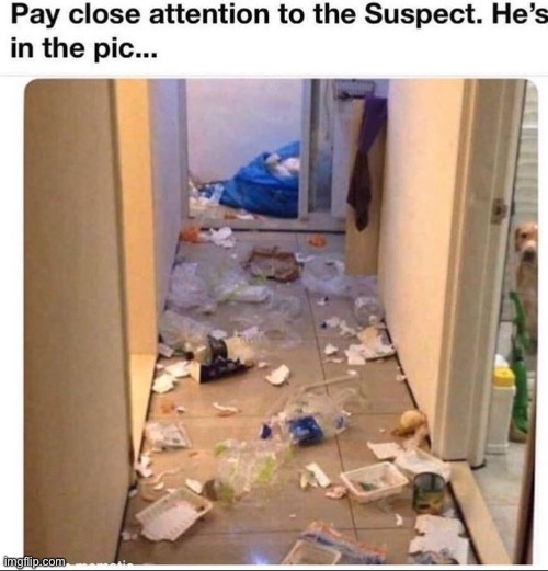 image tagged in memes,funny | made w/ Imgflip meme maker
