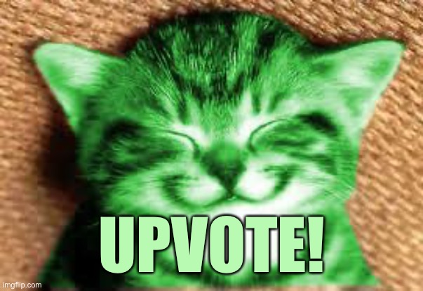 happy RayCat | UPVOTE! | image tagged in happy raycat | made w/ Imgflip meme maker