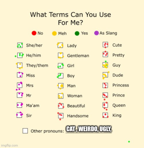 My pronouns | CAT , WEIRDO, UGLY, | image tagged in pronouns sheet | made w/ Imgflip meme maker