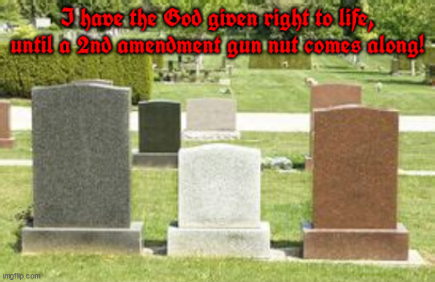 Pro-Death 2nd Amendment | image tagged in nra,guns,mass shootings,school shootings,murder,maga | made w/ Imgflip meme maker